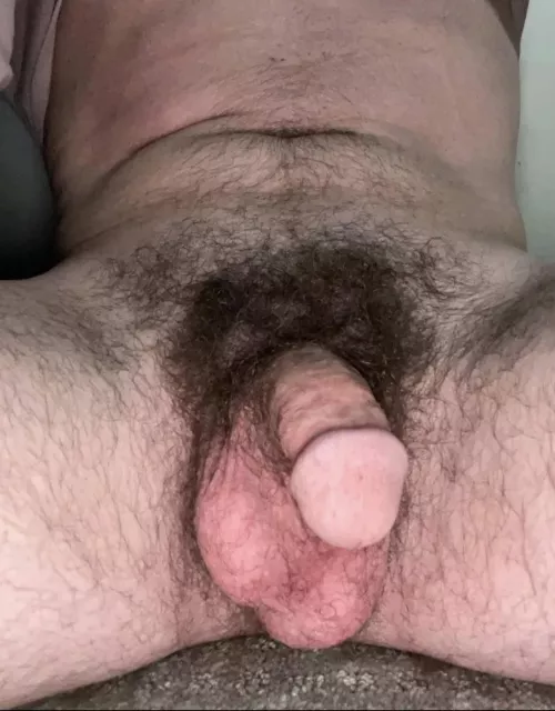 Hairy soft cock. Whatcha think? 🙏🏻