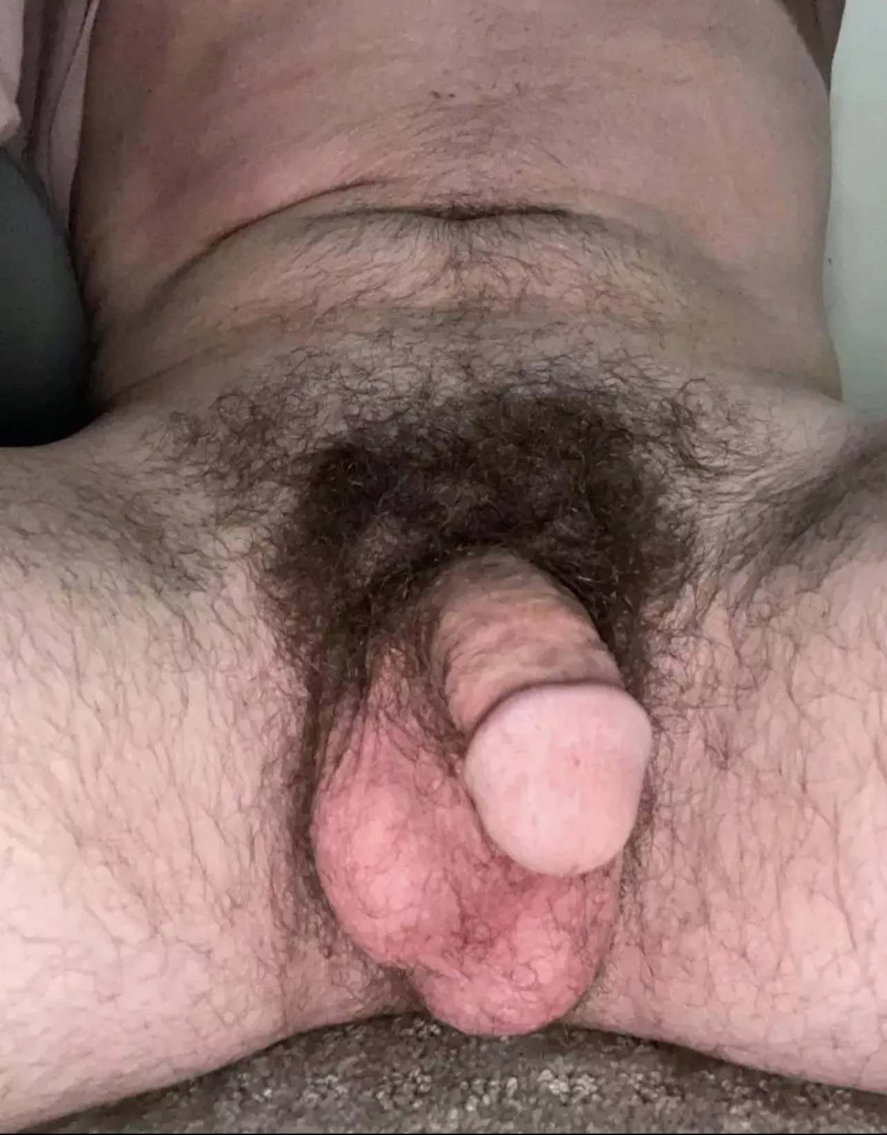 Hairy soft cock. Whatcha think? 🙏🏻