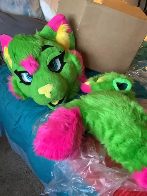 Here’s her unboxed and on my bed!