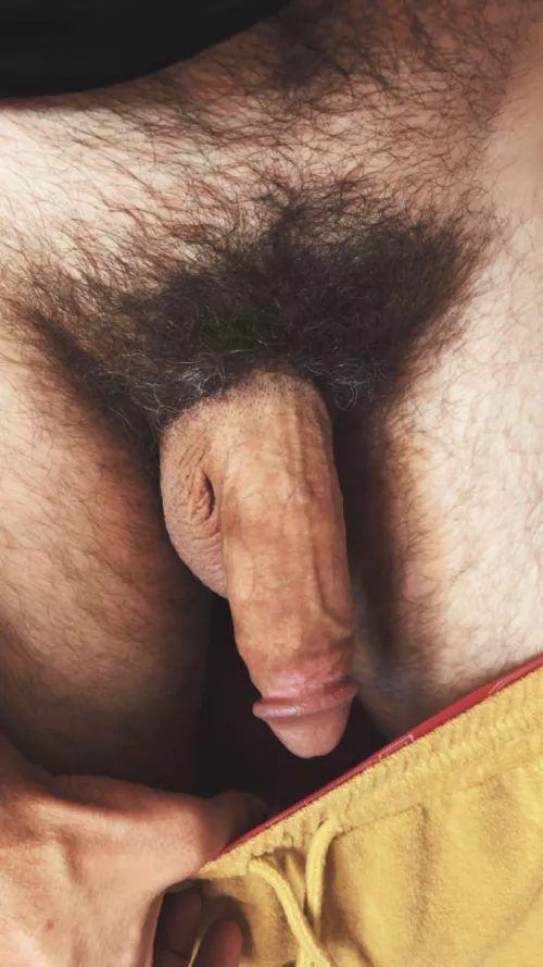 My hairy li'l guy had a(nother) busy day stuffing and flooding holes.