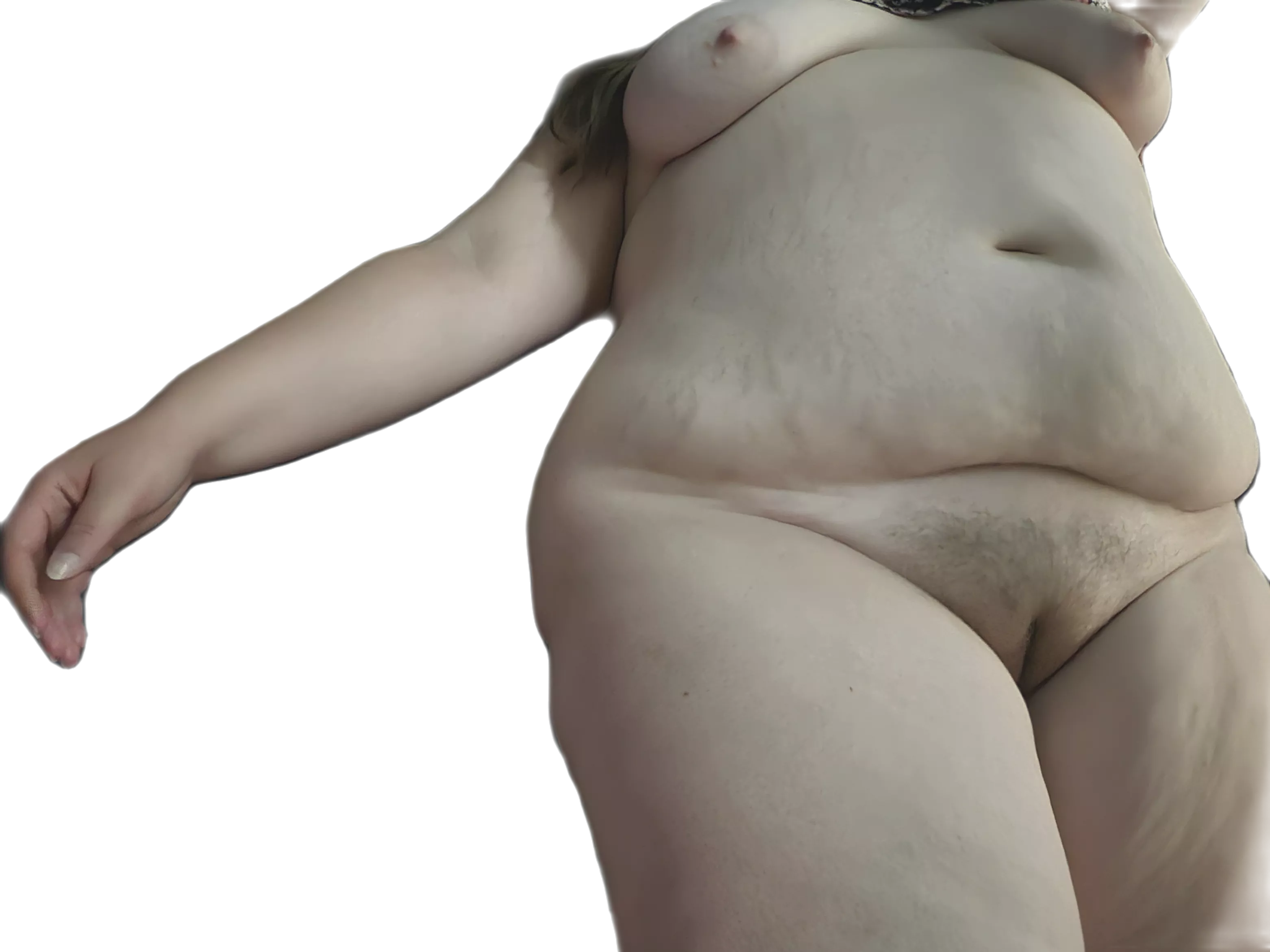 The Bush is so tiny. Let see where it gets to in a month.