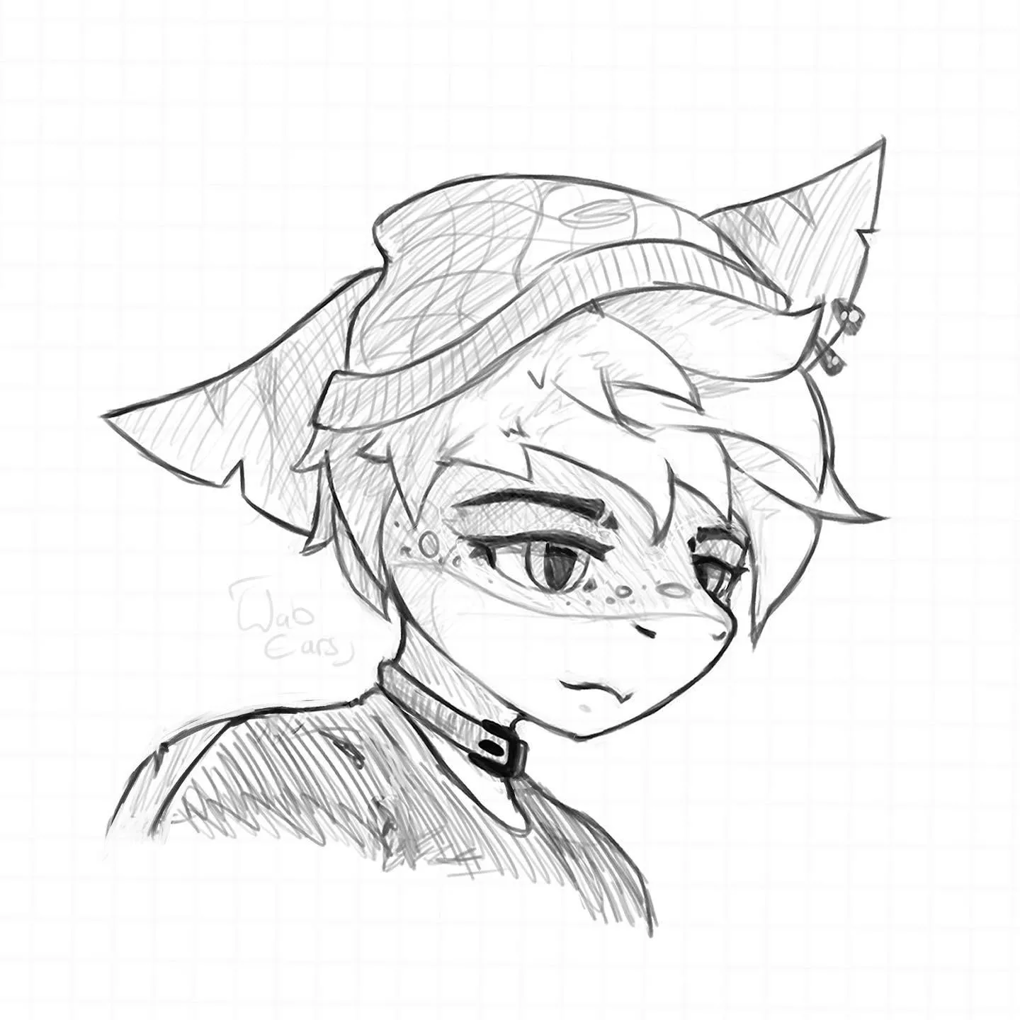 Tried another Shark (OC)