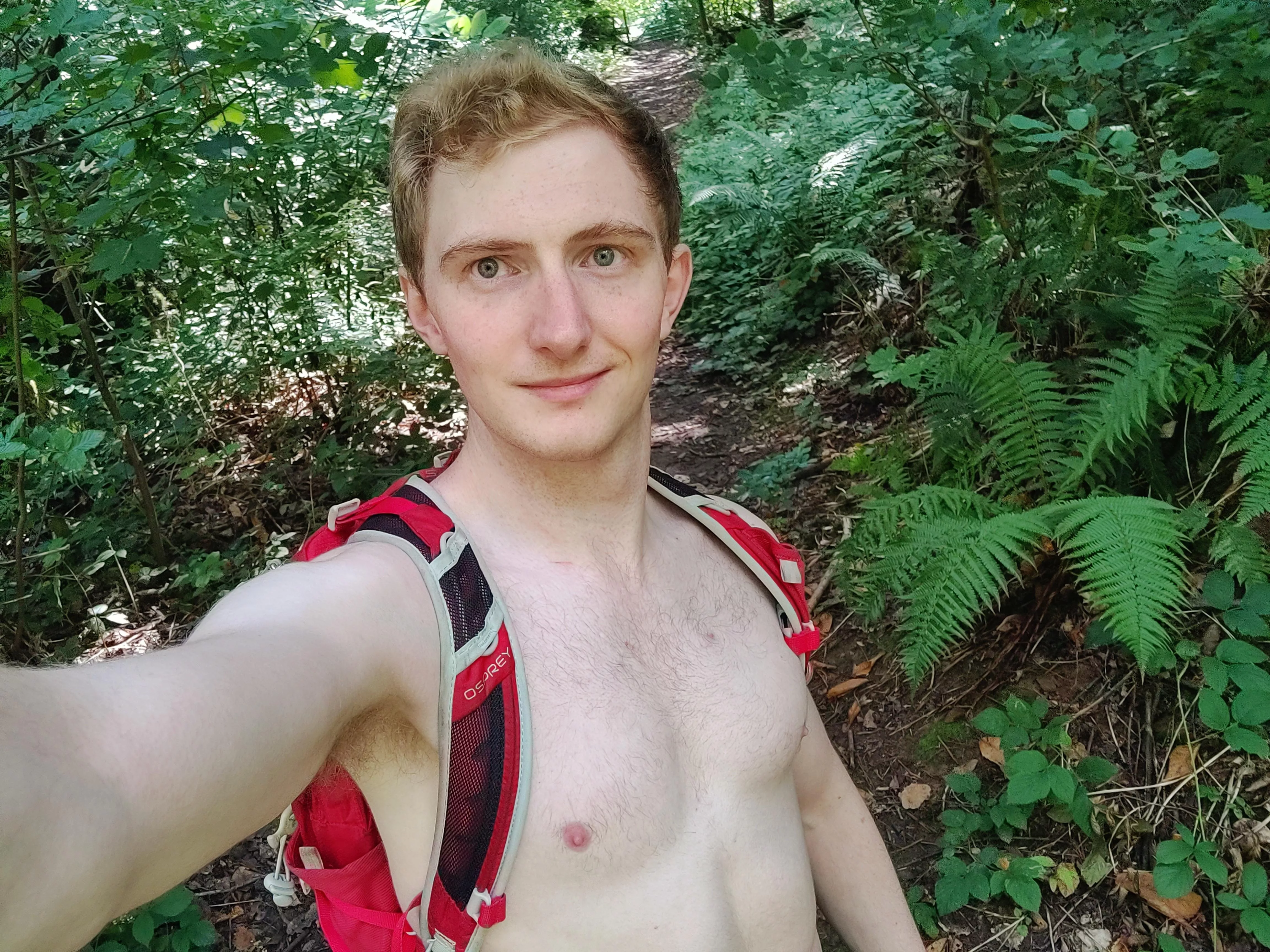 Come for a hike in the woods with me?