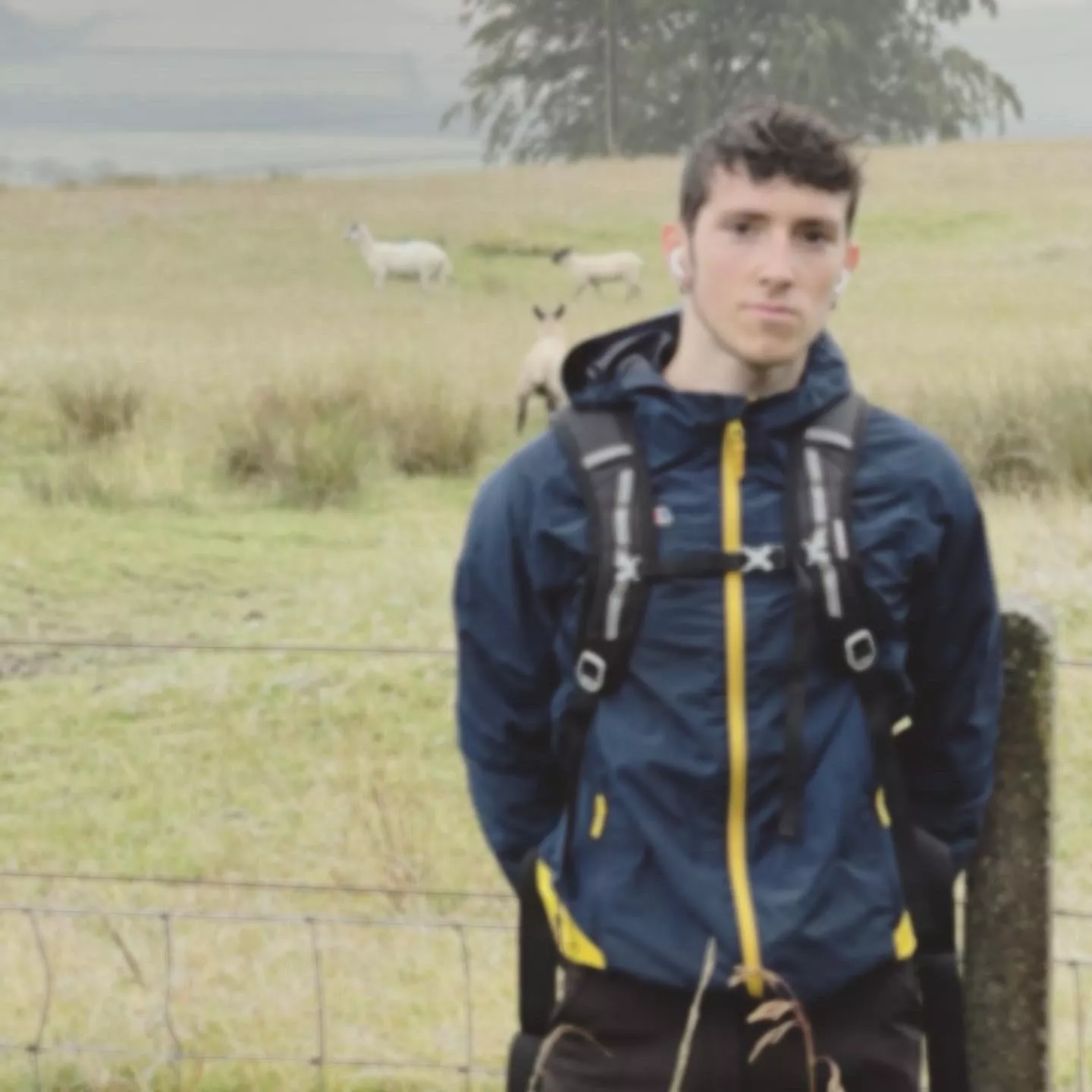 Could do with a hiking bud:)