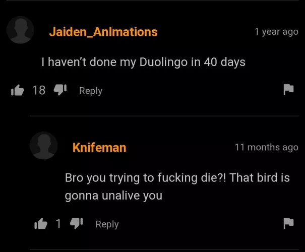 Duolingo will fuck him