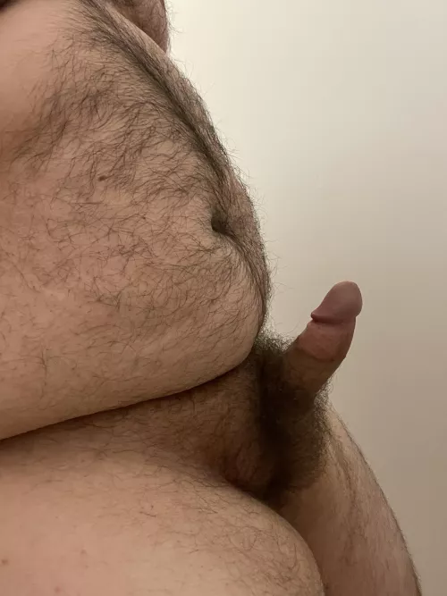 Home alone this week, anyone want to lend a hand for this little guy? DMs are open