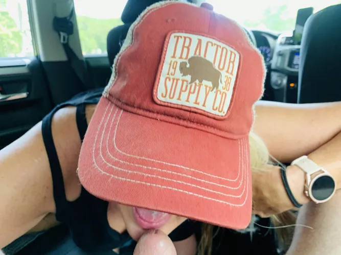 Sucking cocks in cars