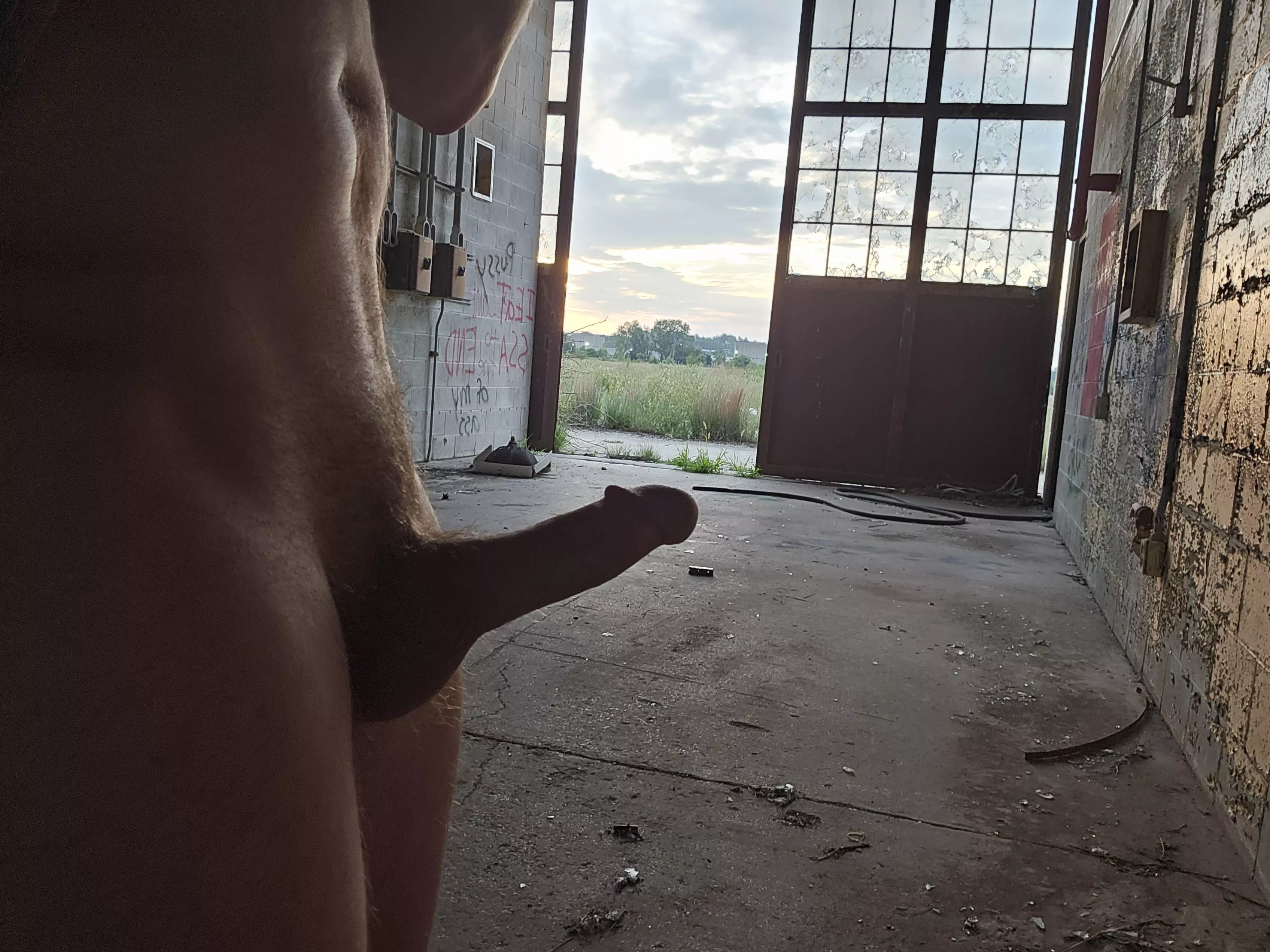 What would you do if you caught me out in the open like this?