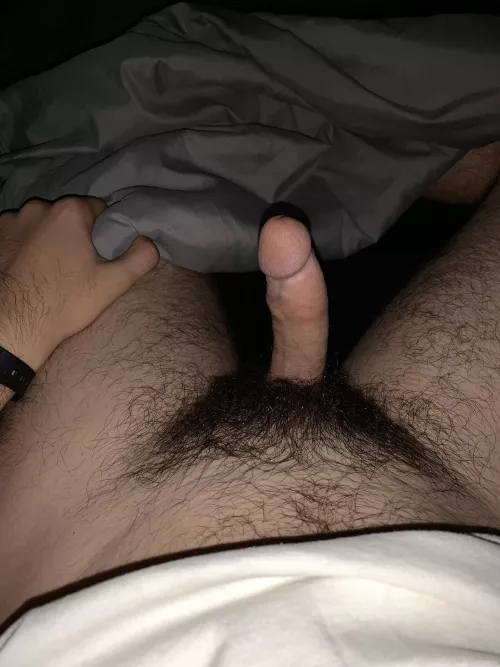 freshly 18 hows this