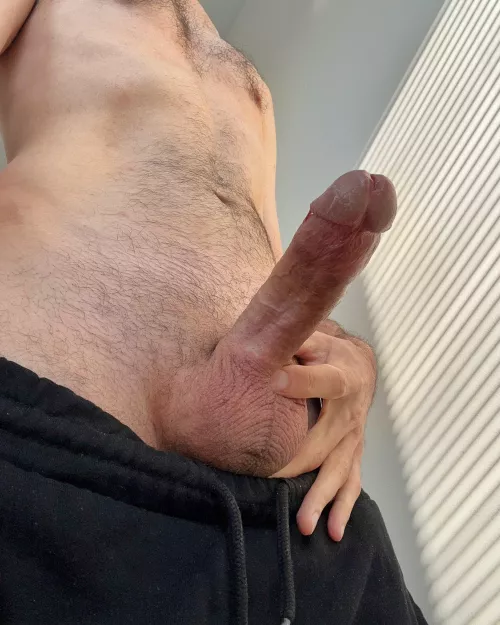 Sorry I know it’s way too early for this (42)