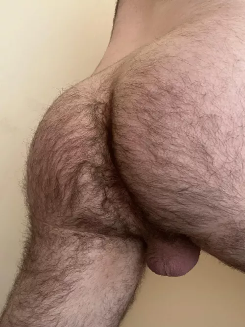 what would you do to my hairy ass? [25]