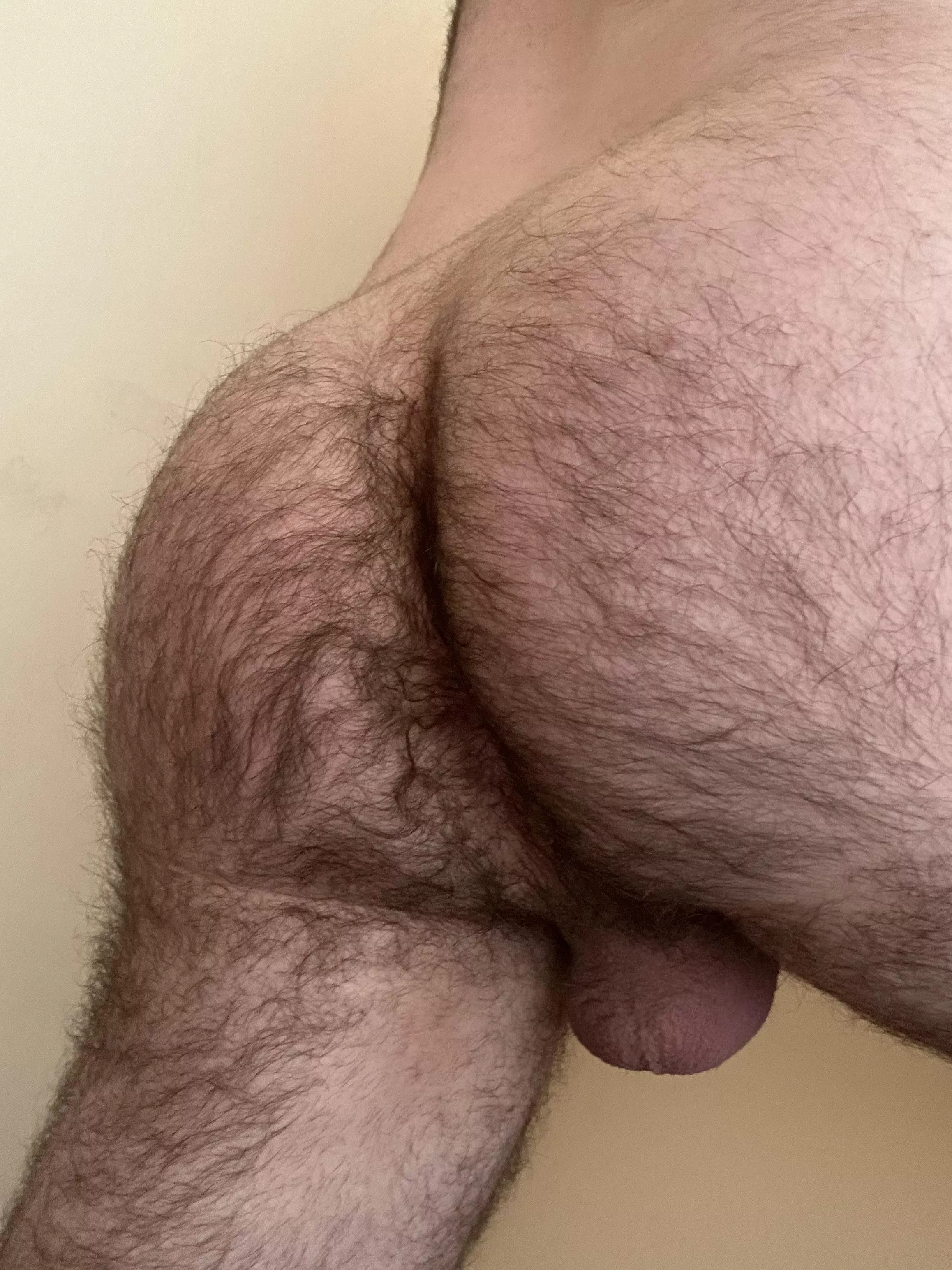what would you do to my hairy ass? [25]
