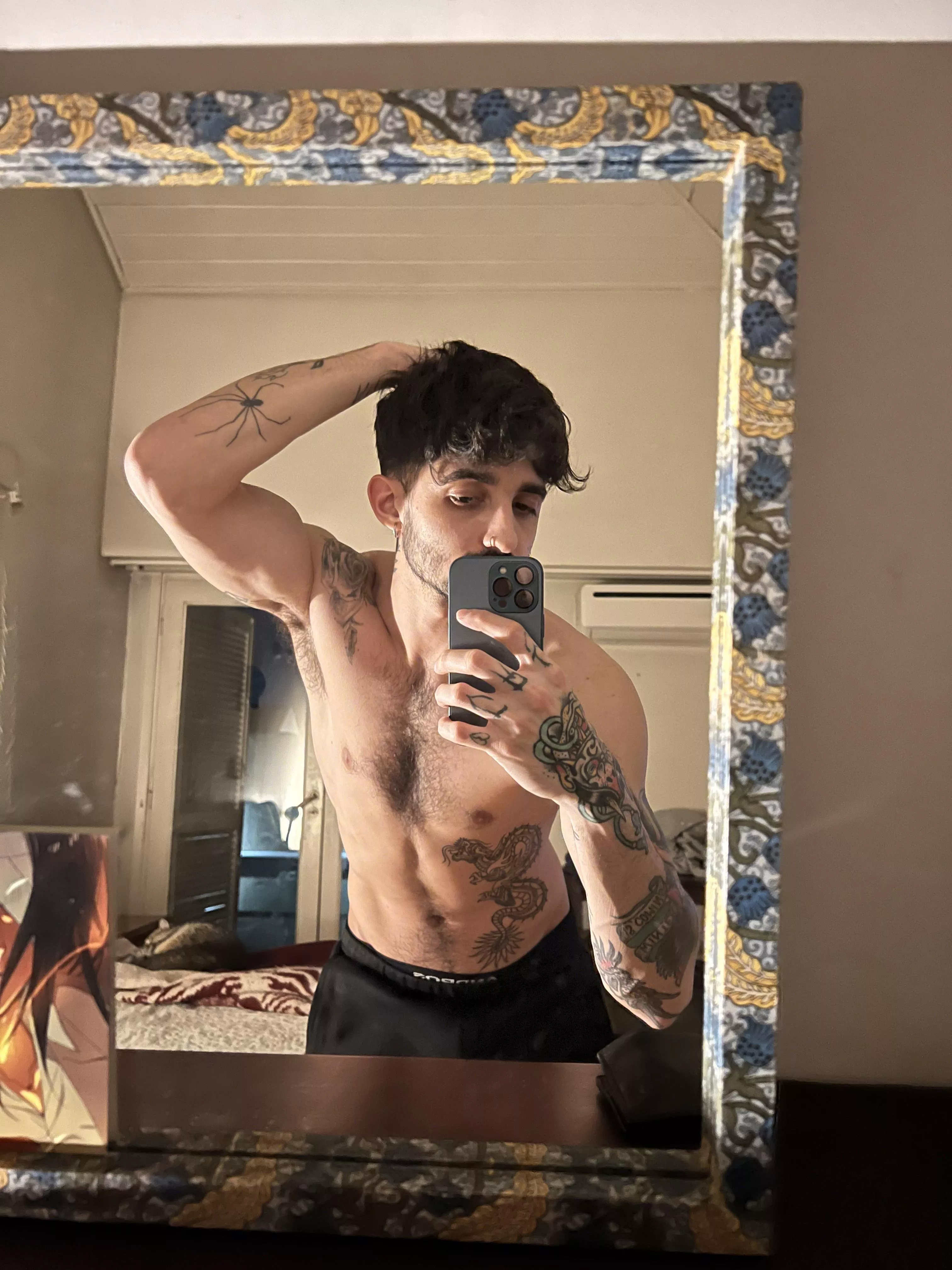 are you into latin studs?