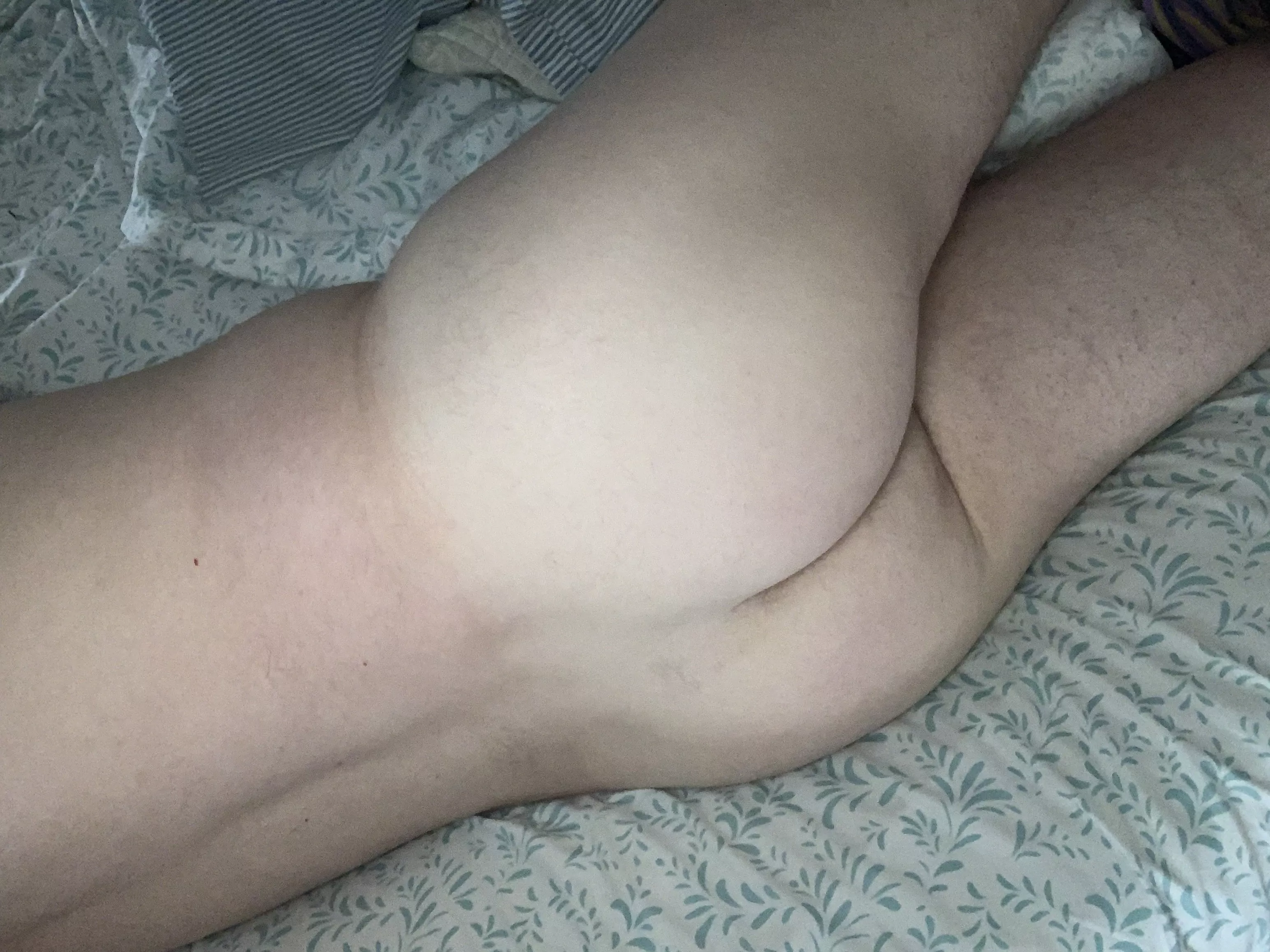 Forecast is hazy, hot and 100% chance of humps