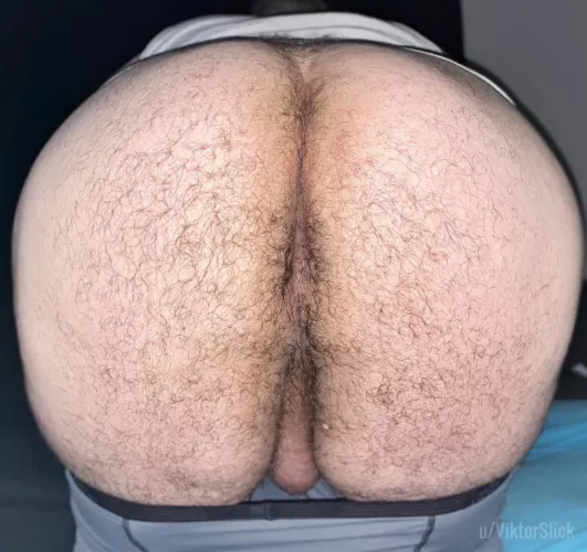 Having a taste or filling me up?