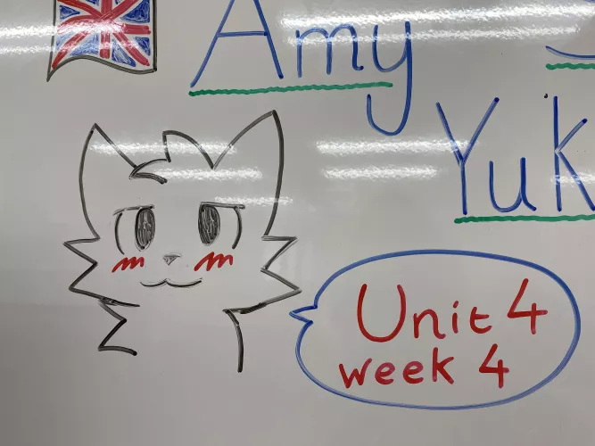 I teach English classes in Japan, I couldn’t resist!!!