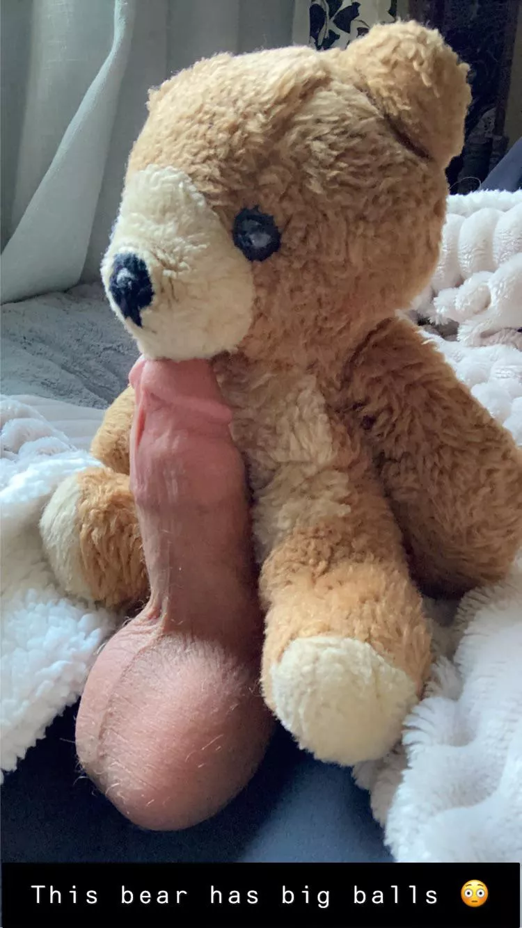 This Bear Has Balls