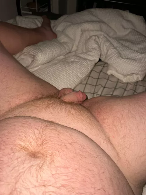 25 horny ginger cub. Get me hard.
