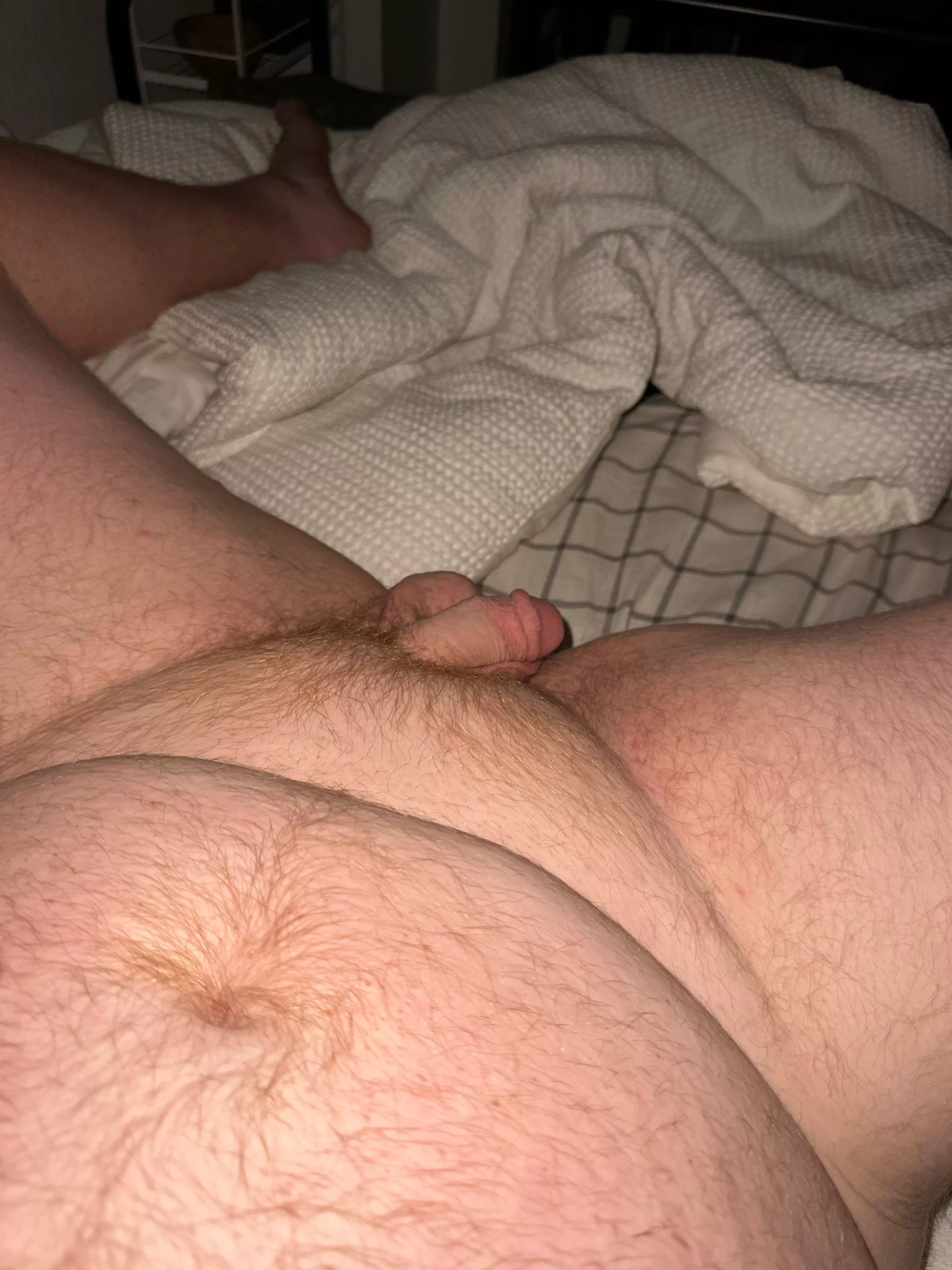 25 horny ginger cub. Get me hard.