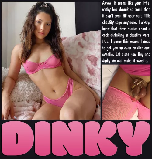 DINKY [chastity] [femdom] [shrinking]