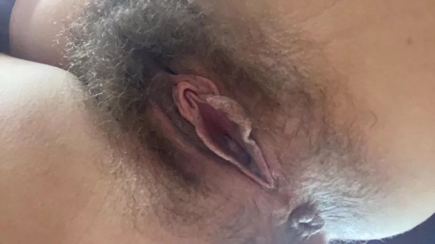 my hairy pussy and tight asshole