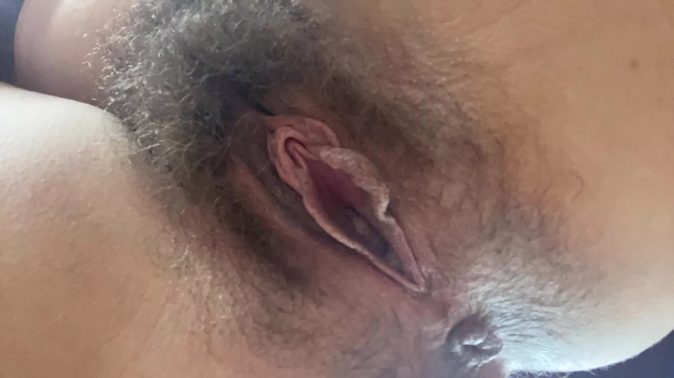my hairy pussy and tight asshole