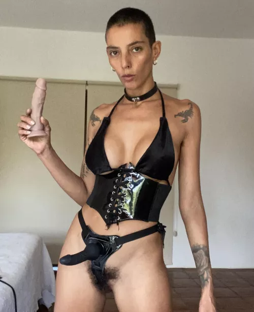 Ready to play with you !