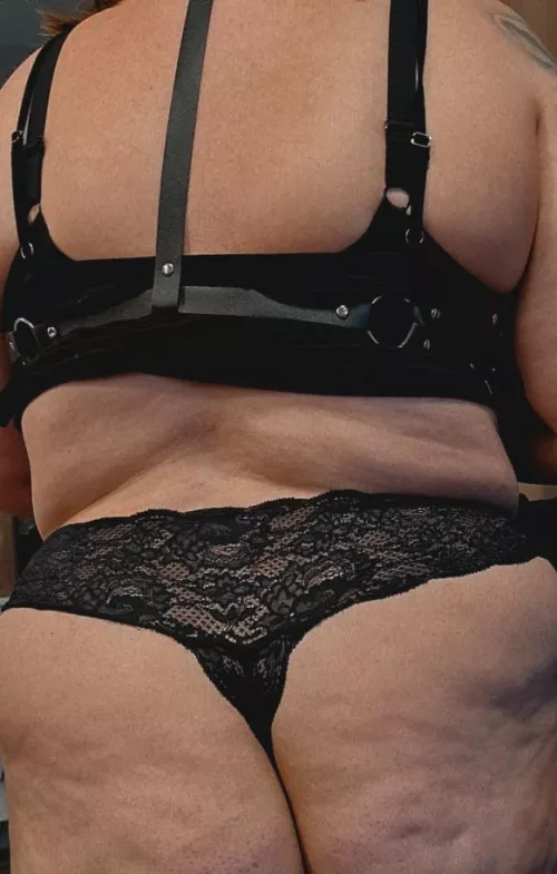 Trying out my new harness, not sure if it looks better from the front or back..