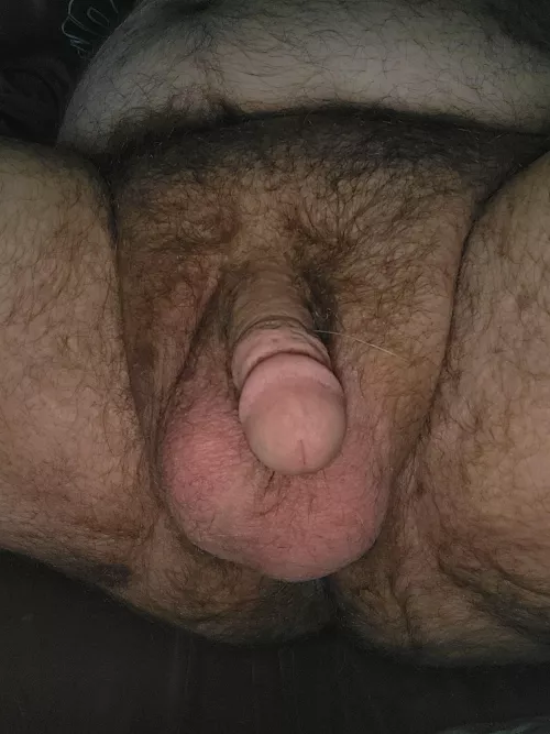 Do y'all like little dicks and big balls on big hairy men?