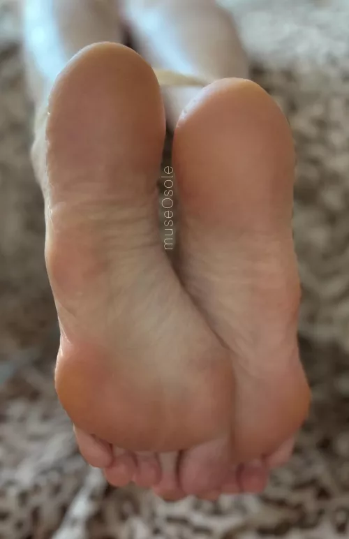 My sexy soles own you