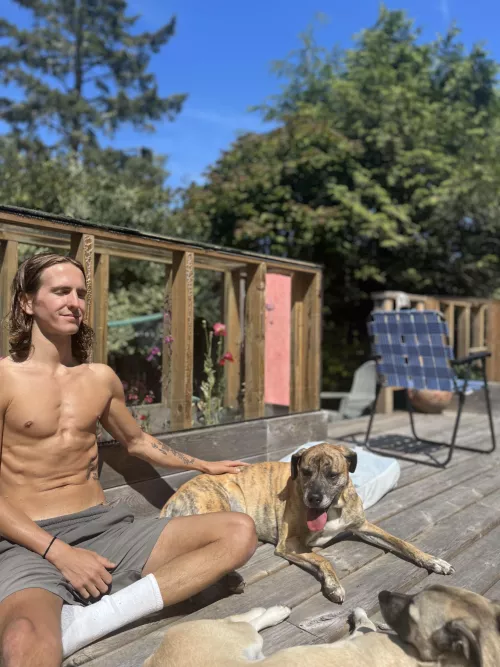 Who let the dogs out?