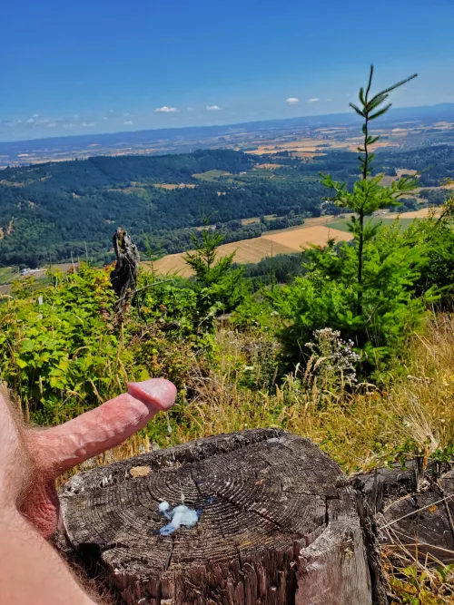 A view with a little cum