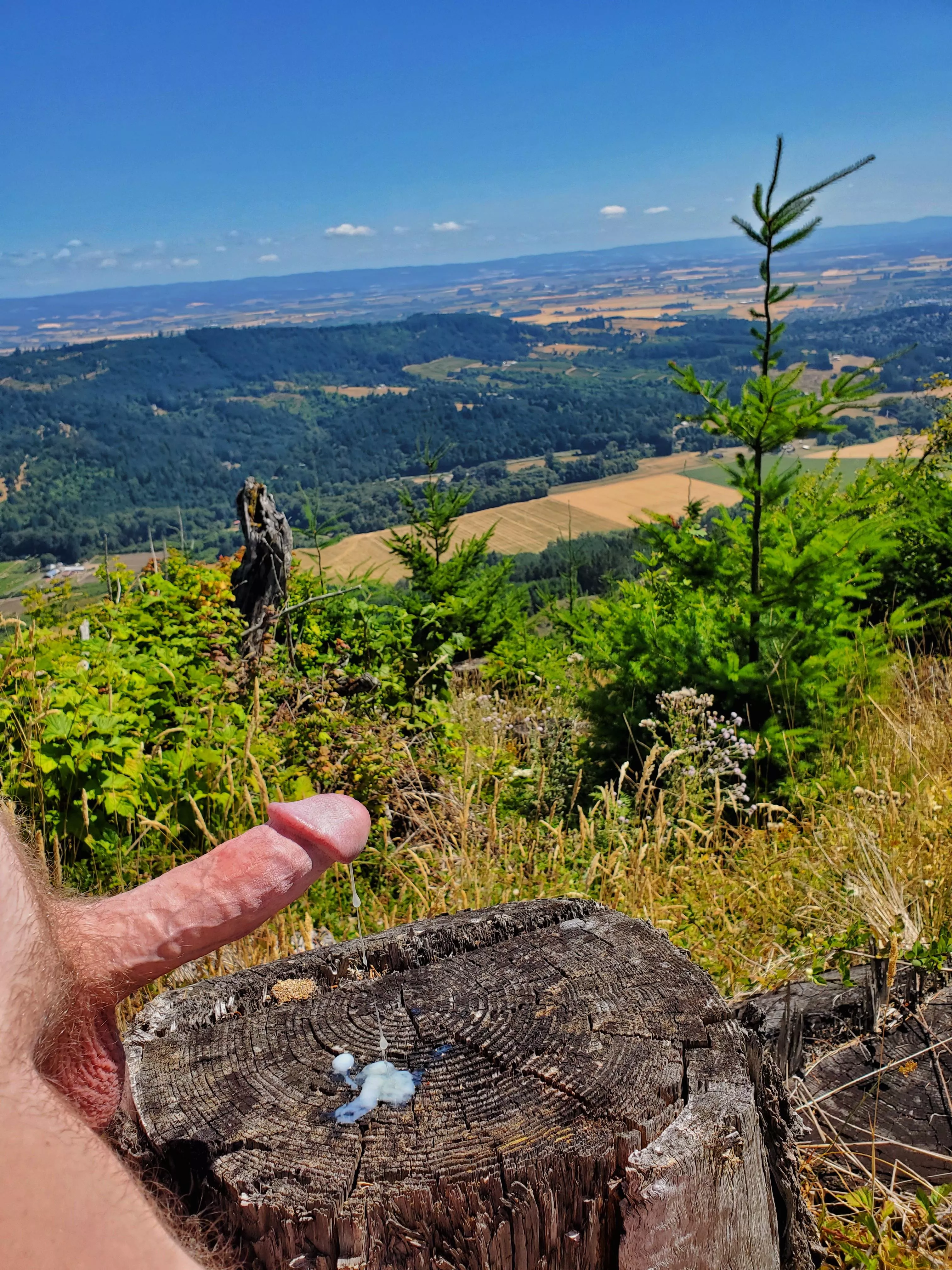 A view with a little cum