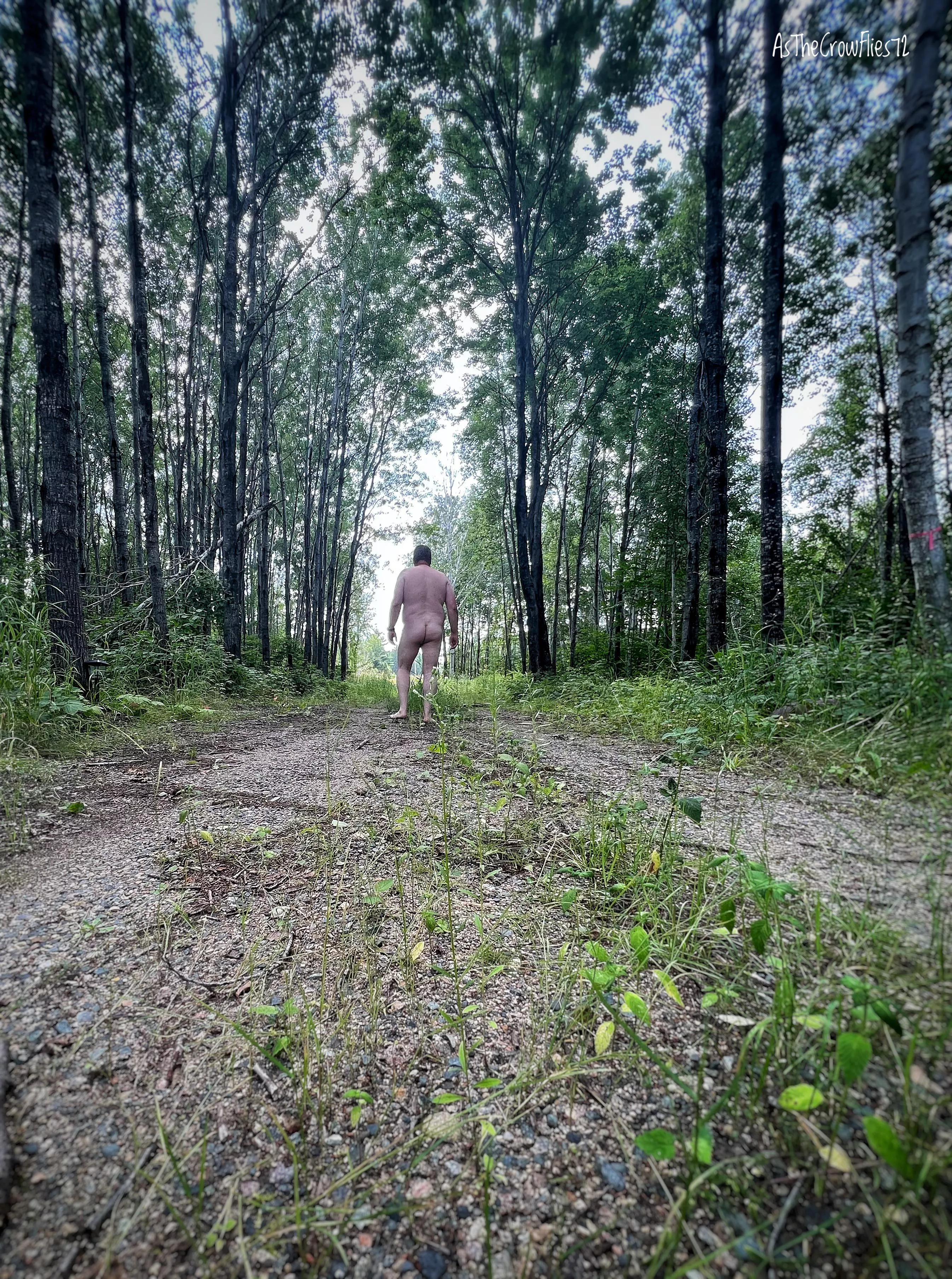 Adventure down sone road
