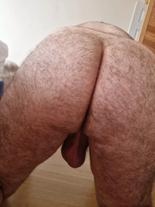 Beary dad 👀 for a seat…