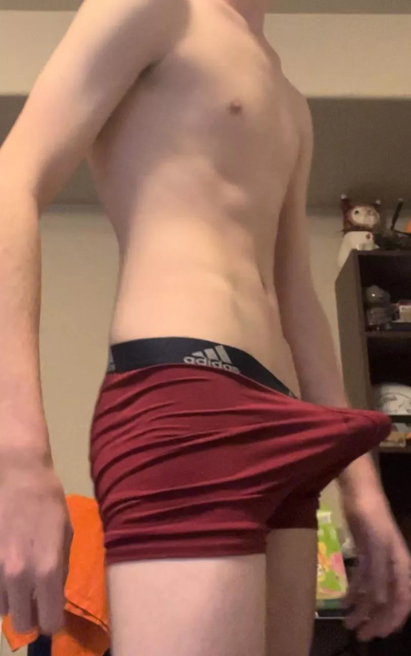 First post here….any suggestions?