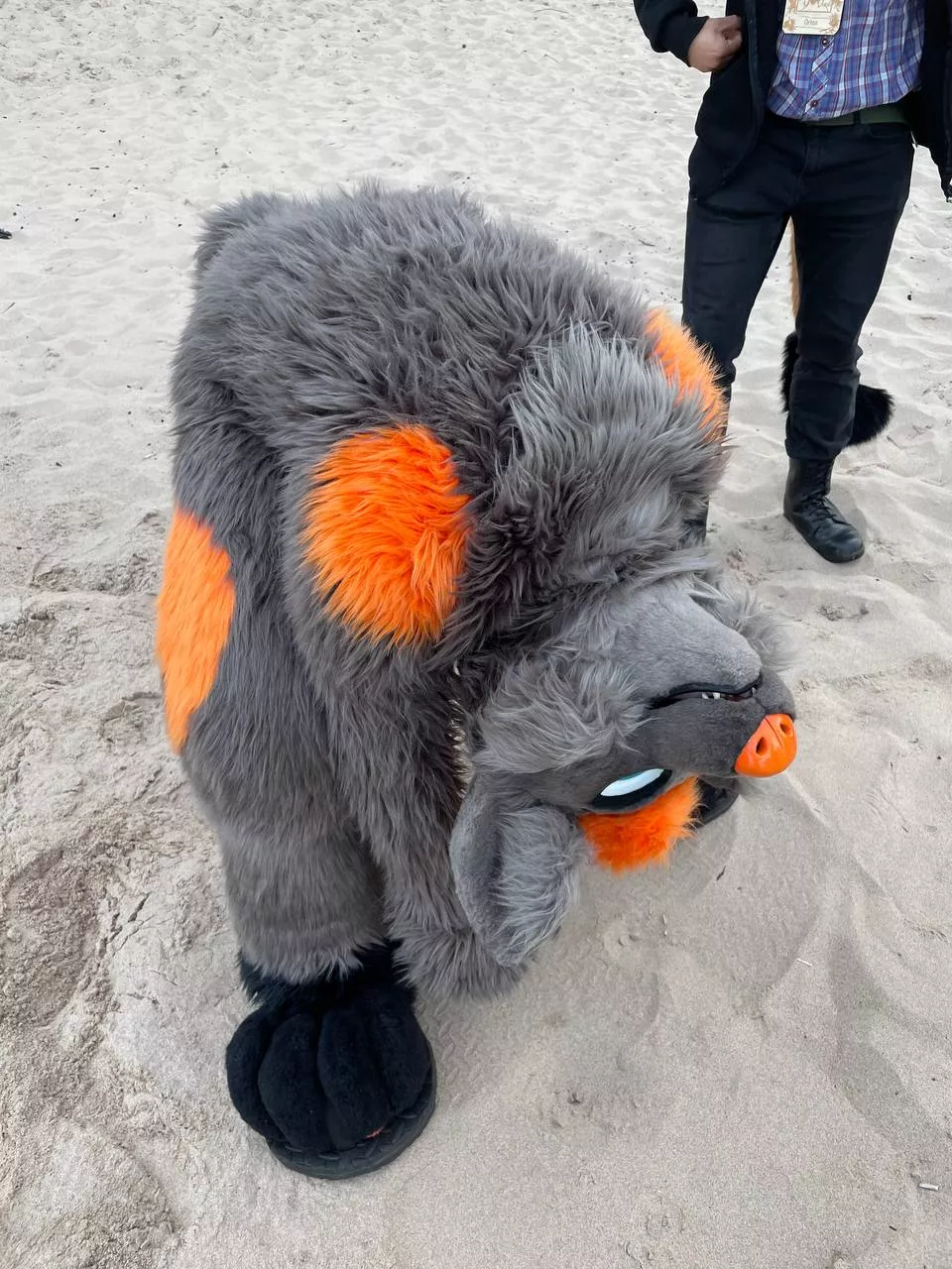 I think something went wrong....