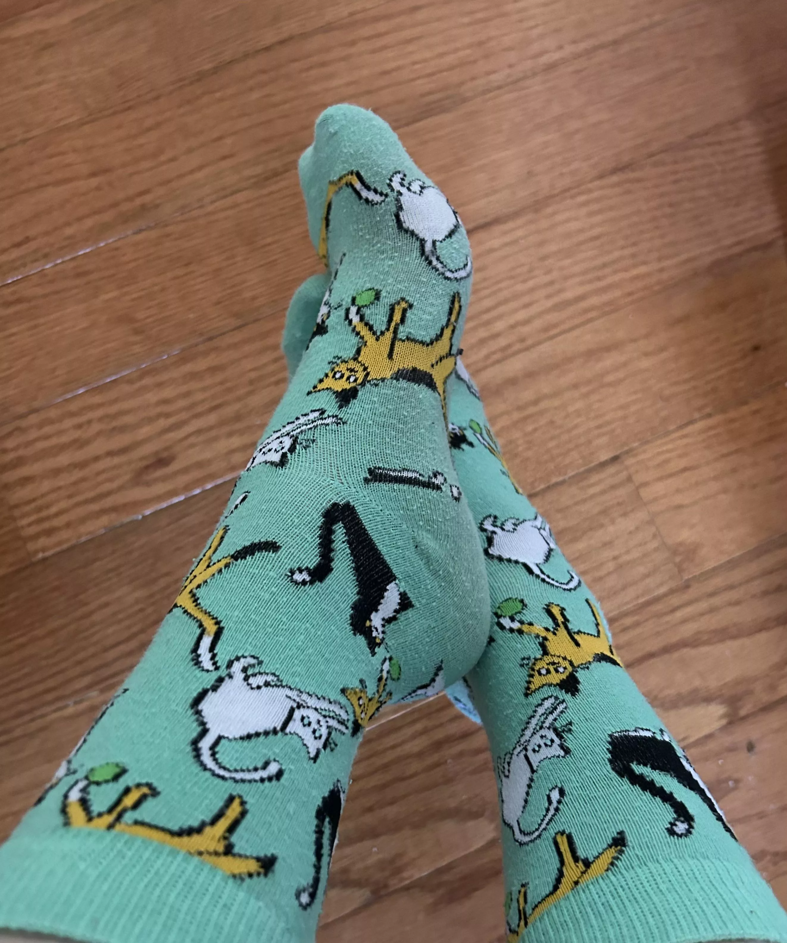 Kitty socks - OC 29F