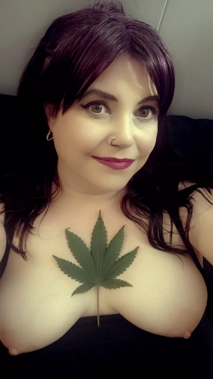 Lea(f) from my Mimosa. What are you growing?