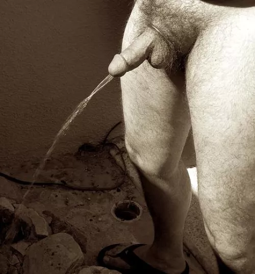 pissing in a fountain