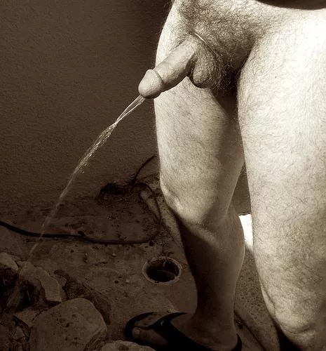 pissing in a fountain