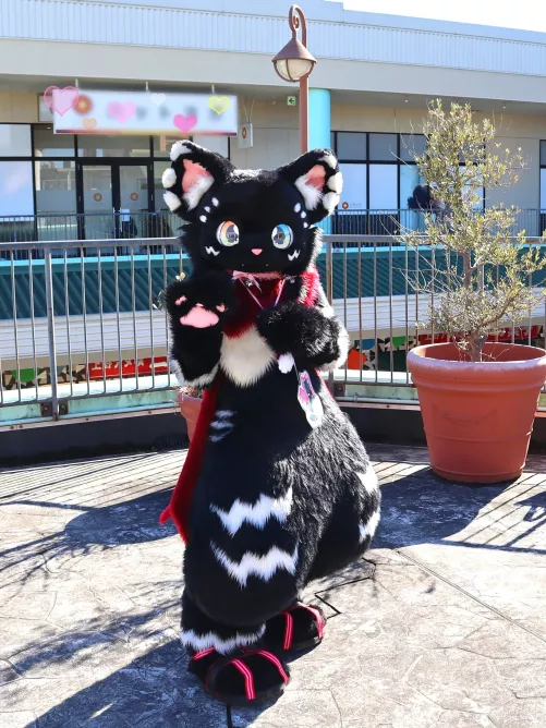 @ShiroKuro0w0 says Meow!