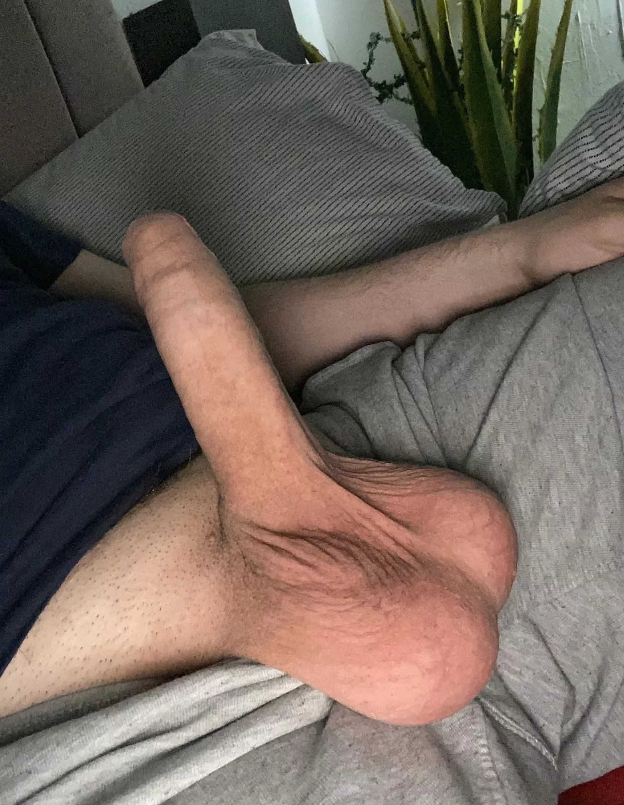 What do you think? 😎