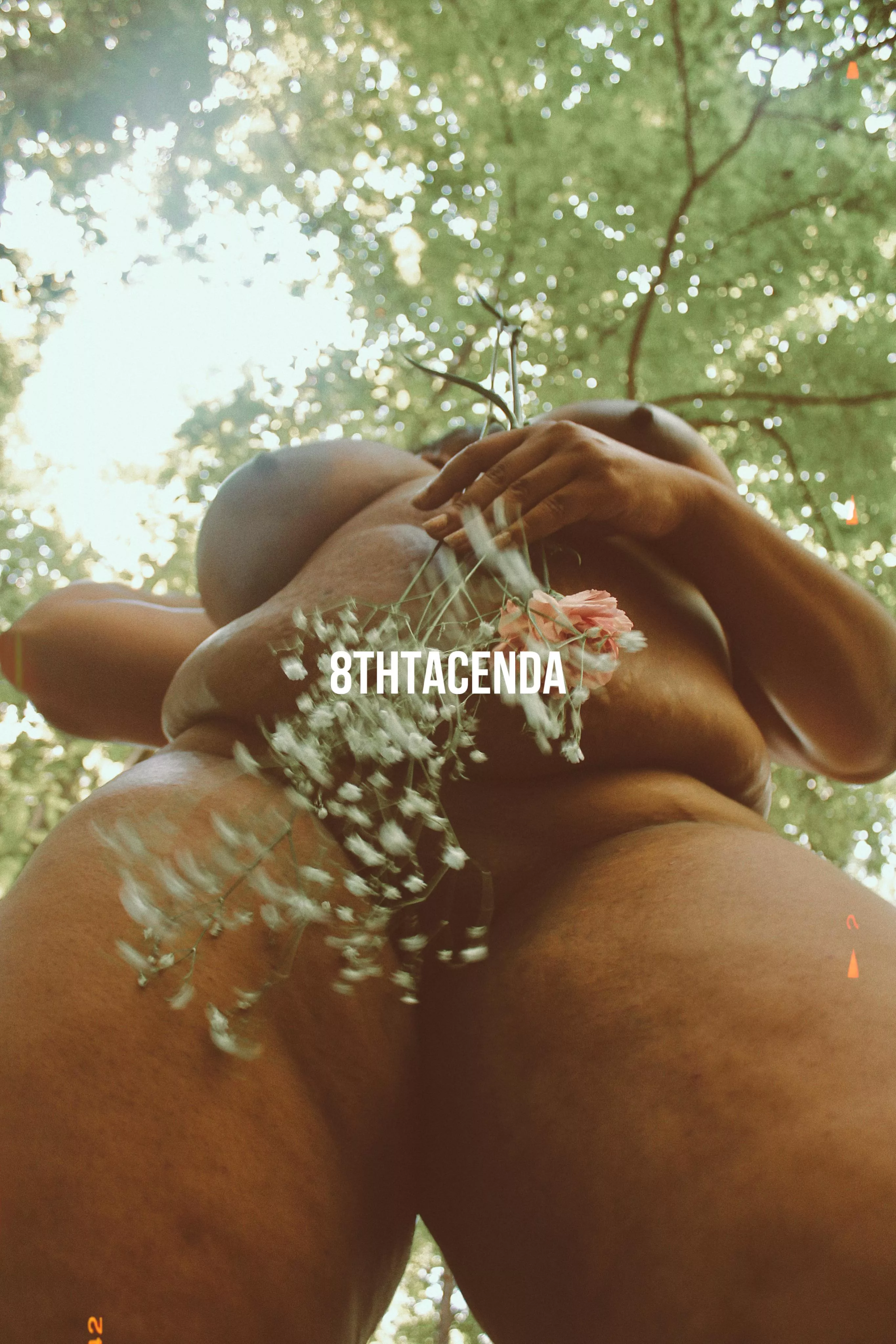 Where the wild things are ✨