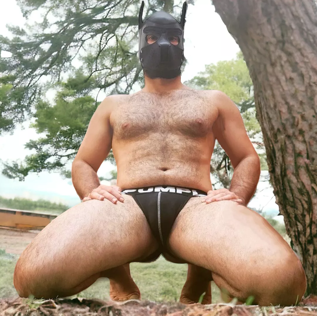 Woof!