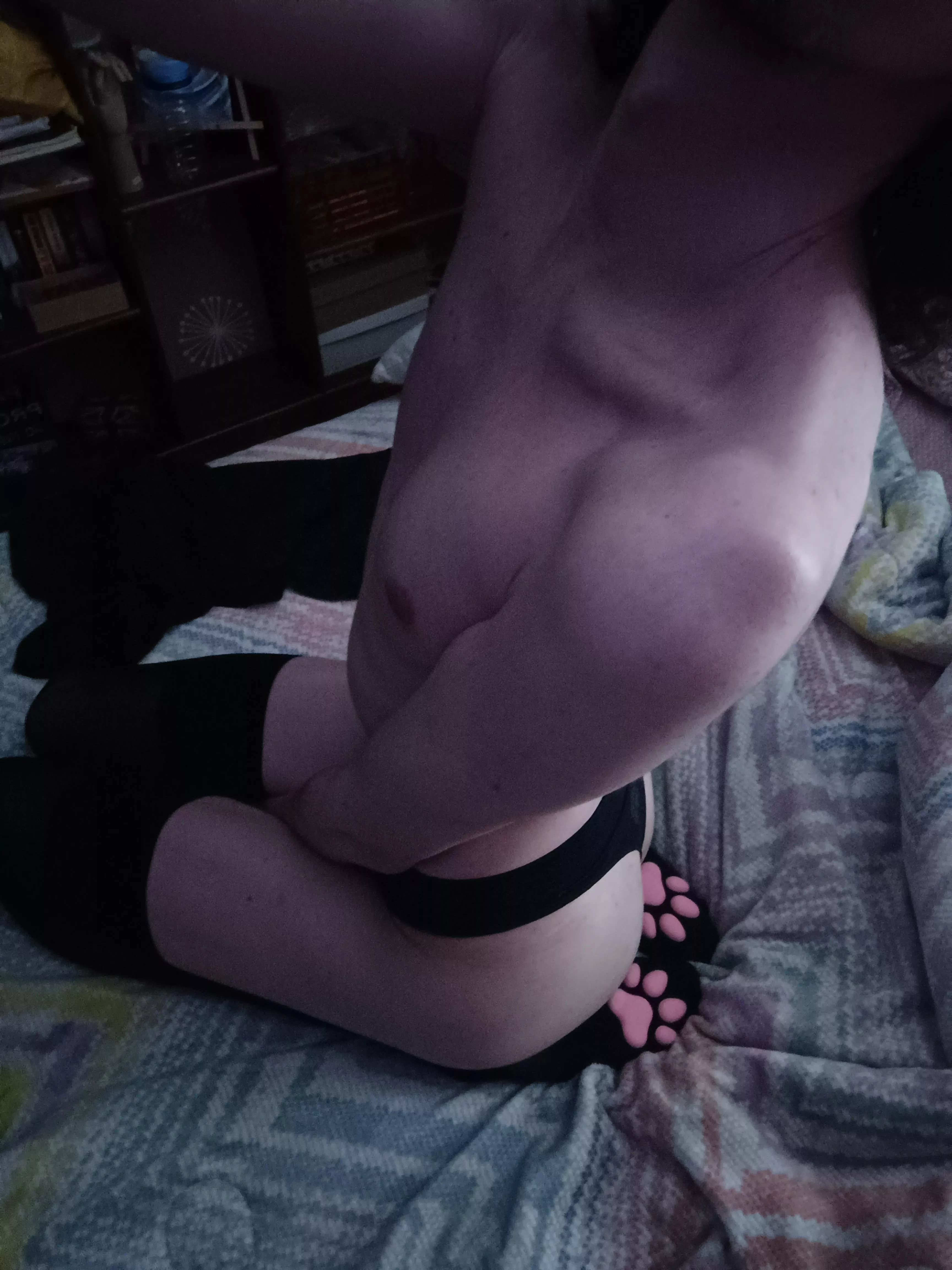 Would u fuck this gamer boy?