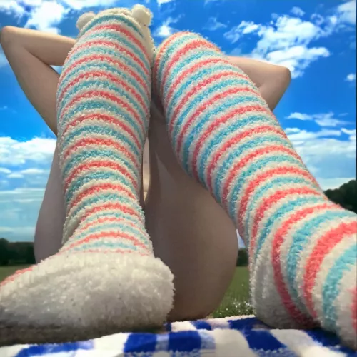 I believe a pair of fuzzy socks is the appropriate attire for a picnic