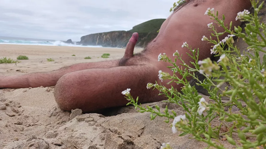 Today, cloudy boner day.