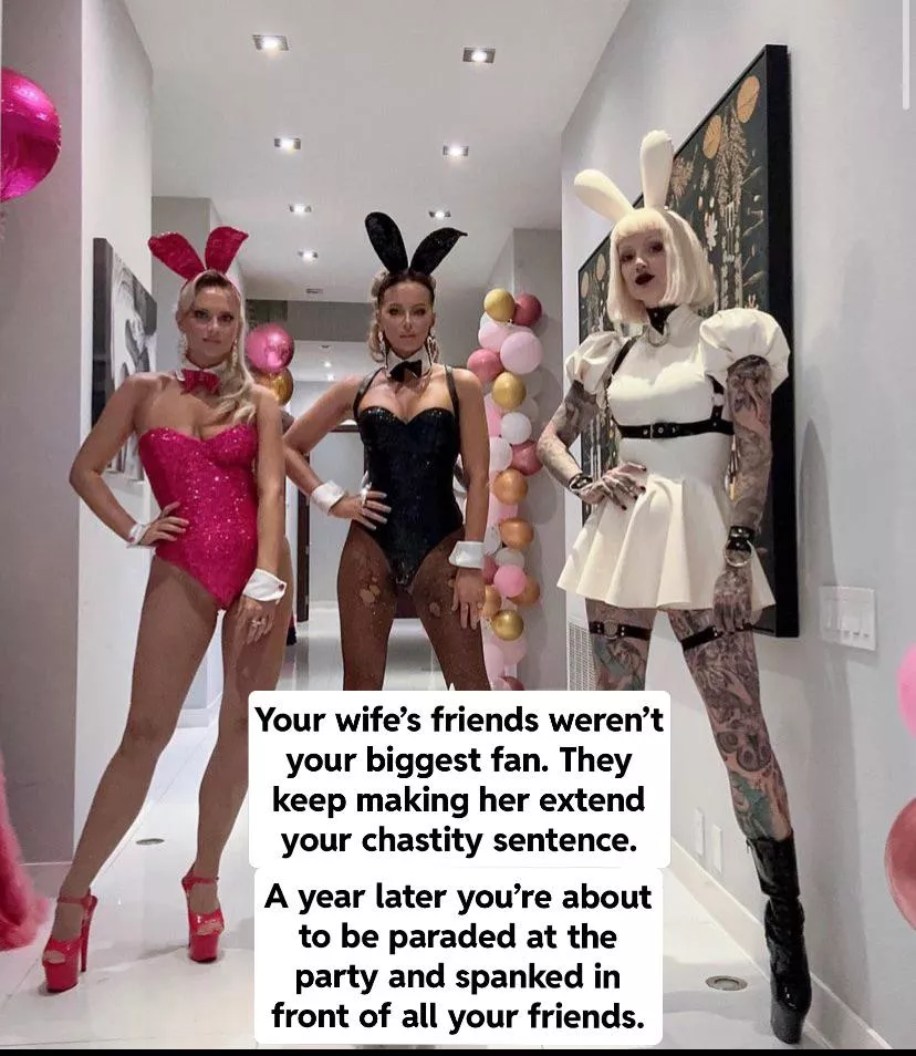 Your wife’s friends hate you and will do anything they can to make you suffer.