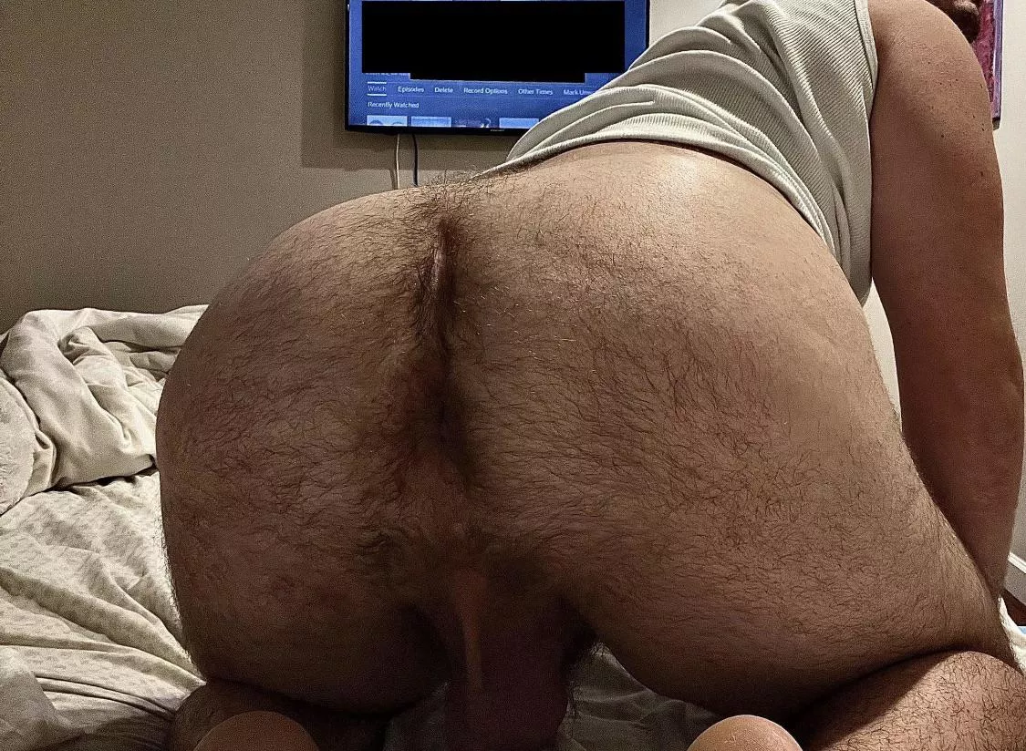 (31) beefy total bottom